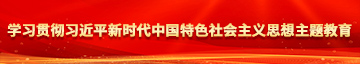 国产骚逼美女操逼学习贯彻习近平新时代中国特色社会主义思想主题教育